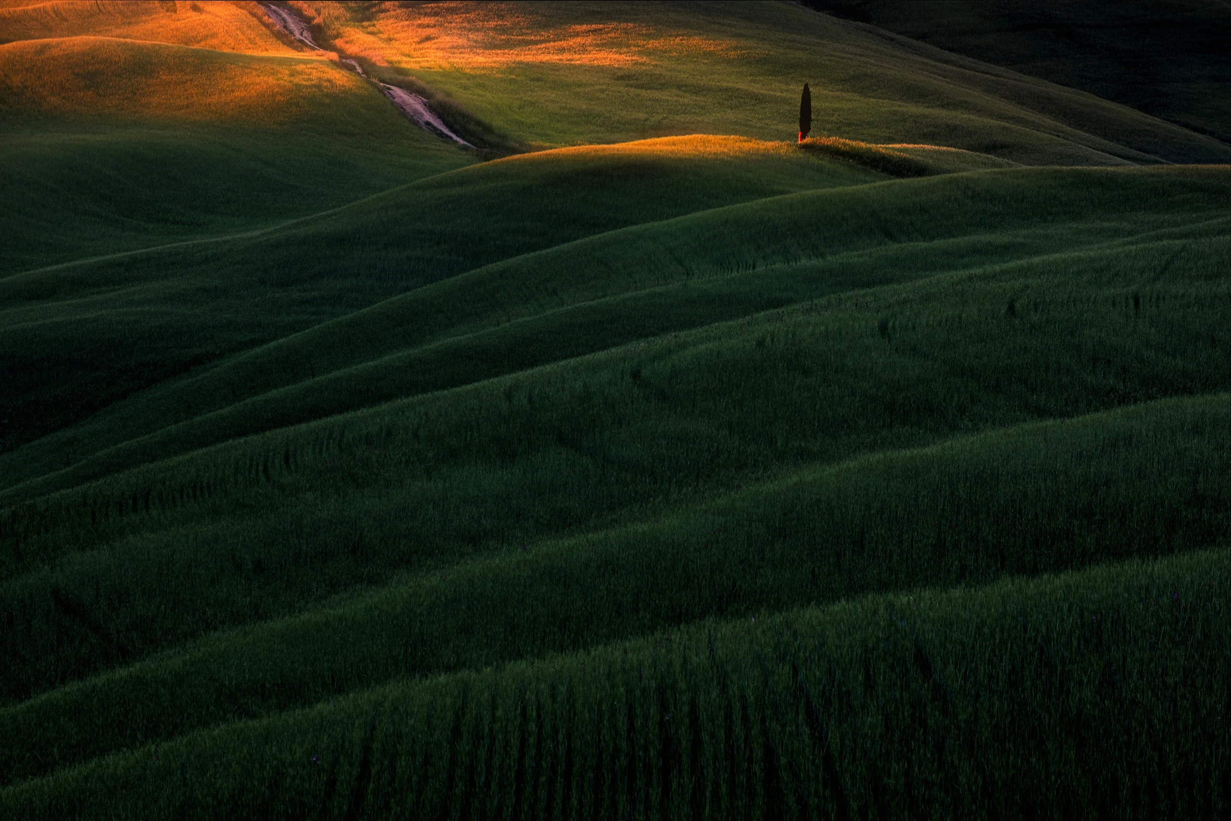 TUSCANY IN SPRING WORKSHOP — Andy Mumford Photography